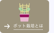 ポット栽培とは