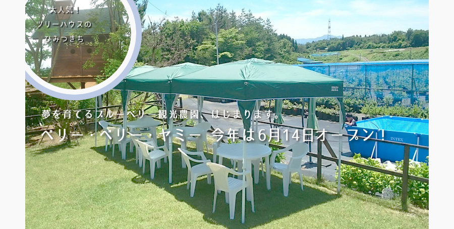 夢を育てるブルーベリー観光農園 ベリー・ベリー・ヤミー
