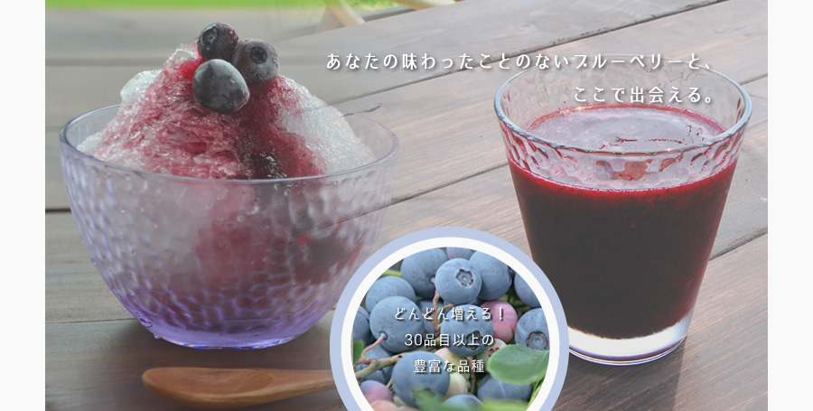 あなたの味わったことのないブルーベリーと、ここで出会える