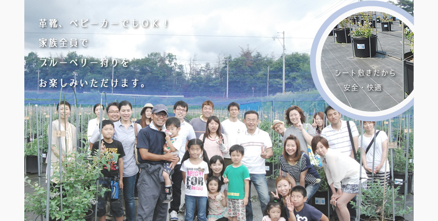 革靴、ベビーカーでもOK!家族全員でブルーベリー狩りをお楽しみ